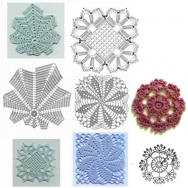 rosettes (1)