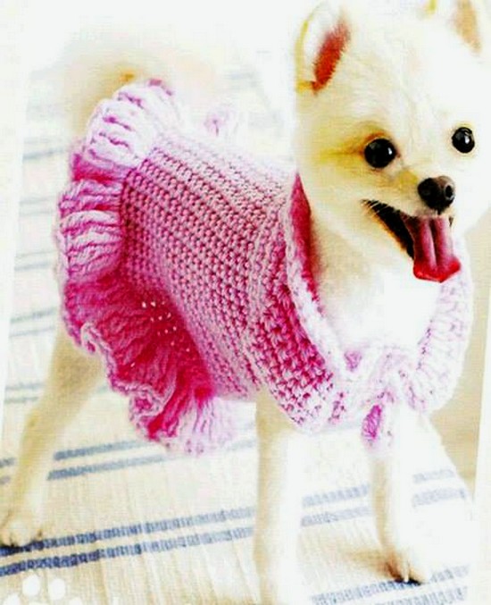 Ruffled Dog Sweater Dress (7)